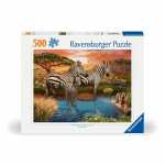 Ravensburger Puzzle Zebras am Wasserloch 500 Teile