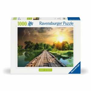 Ravensburger Puzzle Power Of Nature Mystisches Licht 1000 Teile