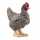 schleich Farm World Plymouth Rock Huhn