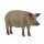 schleich Farm World Wollschwein