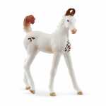 schleich Horse Club Marwari Fohlen