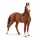schleich Horse Club Marwari Stute