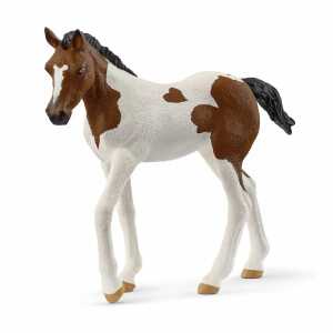 schleich Horse Club Paint Horse Fohlen