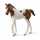 schleich Horse Club Paint Horse Fohlen