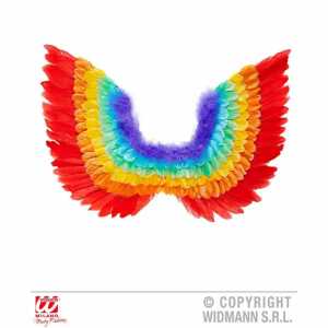 WIDMANN Regenbogen Federflügel 60x40cm