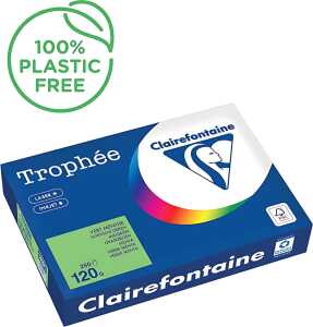 Kopierpapier Trophee, DIN A4, 120g/qm, 250 Blatt, minze