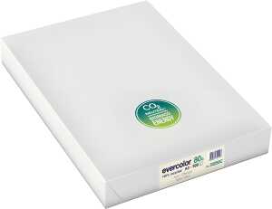 Kopierpapier, DIN A3, 80g/qm, 500 Blatt, Recycling, chamois