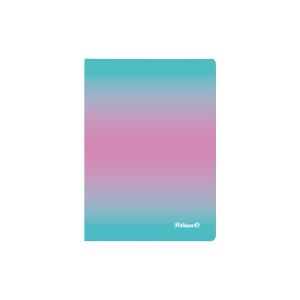 NB A6/80 kariert ColorEdition mint/rosa