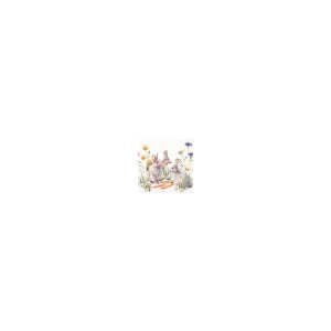 AMBIENTE 23318250 20 ST Frühjahrsserviette 33x33cm Caroot
