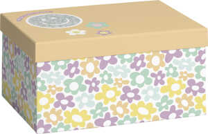 STEWO 2551 5178 16 24x165x12cm Geschenkkarton Kind Nea