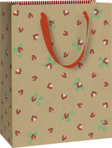 STEWO 2544 5197 20 30x23x13cm Geschenktragetasche Glück Adela