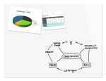 SIGEL B1400 Glas-Magnettafel Be!Board - 120 x 90 x 0,90...