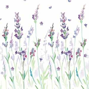 PAPER+DESIGN 209841 3lag Motivserviette 33x33cm