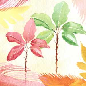 PAPER+DESIGN 209829 3lag Motivserviette 33x33cm