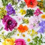 PAPER+DESIGN 209971 3lag Motivserviette 33x33cm