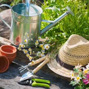 PAPER+DESIGN 209982 3lag Motivserviette 33x33cm