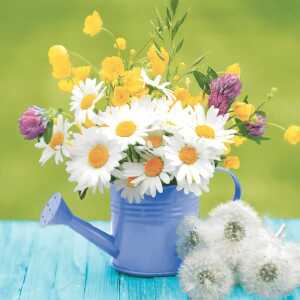 PAPER+DESIGN 209972 3lag Motivserviette 33x33cm