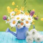 PAPER+DESIGN 209972 3lag Motivserviette 33x33cm