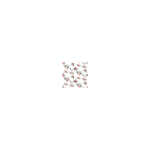 AMBIENTE 13319350 20ST Motivserviette 33x33cm Charlotte
