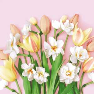 PAPER+DESIGN 208818 3lag Motivserviette 33x33cm Frühjahr