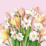 PAPER+DESIGN 208818 3lag Motivserviette 33x33cm...