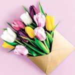 PAPER+DESIGN 208817 3lag Motivserviette 33x33cm...