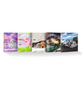 DONAU 2768342-99 A4/70mm Ordner Motivserie Kinder sortiert