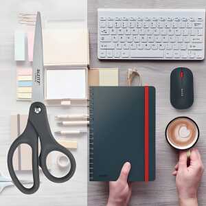 LEITZ 5421-00-89 Schere Titan 180mm dunkelgrau