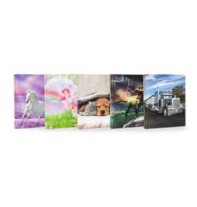 DONAU 2764342-99 A4/2R Schulordner Motivserie Kinder