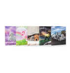 DONAU 2764342-99 A4/2R Schulordner Motivserie Kinder