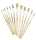 TSI Pinsel-Set12erHaar1,2,4,6,8,10+Borst4,6,8,10,12,14