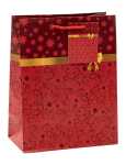 TSI Geschenktüte mittel 23x18x10 cm WN Serie 9