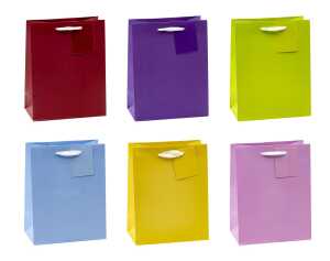 TSI Geschenktüte mittel 23x18x10 cm TRENDFARBEN