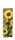 TSI Geschenktüte Flasche 36x12x8 cm SONNENBLUME KP