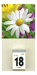 ZETTLER Abreißkalender-Rückwand 342, Blumenmotive, für 301 / 302