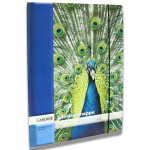 LANDRÉ Sammelmappe mit Gummiband für A3, 4...