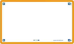 Oxford Flash 2.0, 75x125, 80 Blatt, blanko, orange