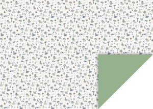 Karton Dinos 300g, 50x70 4005329158667