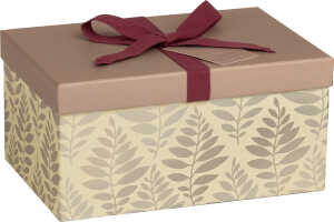 Geschenkbox 16,5x24x12cm Solea ku