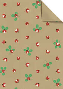 Geschenkpapier 100x70cm Adela rt