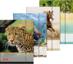 Sammelmappe A4 Tiere Gummizug 4061947138153