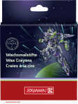 Wachsmalstifte 8er Set Robot Hero