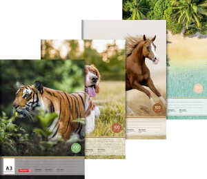 Zeichenblock A3 10Bl 4061947136203