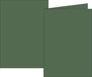 Klappkarte B6 200g moos 10Karten