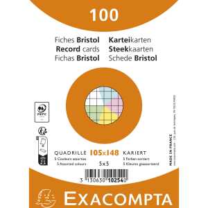 Karteikarte A6 Kariert 100St/Pkg st