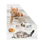 Herma Stehsammler aus stabilem Karton B/T/H 8 x 27,5 x 31,5 cm Katzen