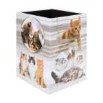 Papierkorb Karton Katzen 4008705197403