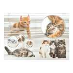 Papierkorb Karton Katzen 4008705197403