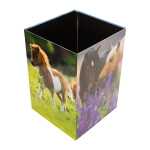 Papierkorb Karton Pferdewiese 4008705197410
