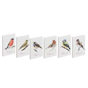 Set Notizbuch A6 Vögel 128S dotted lines 6 Stück